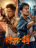 殊死一搏海报